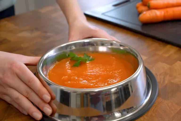 Dein Hund hat Durchfall? Die ersten günstigen Schritte, die oft helfen Post feature image