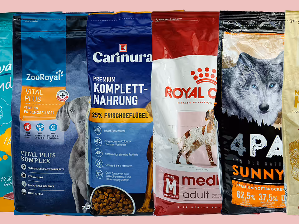 Discounter vs. Fachhandel 2026: Wo dein Geld bellt – und wo es nur leise pupst Post image