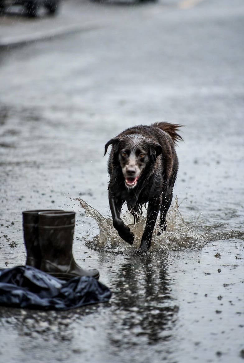 Spaziergang-Ideen für Regentage – ohne Extra-Kram Post image